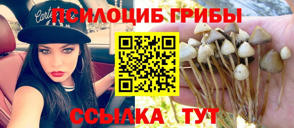 Галлюциногенные грибы Psilocybe  Вход с VPN  Стрежевой 